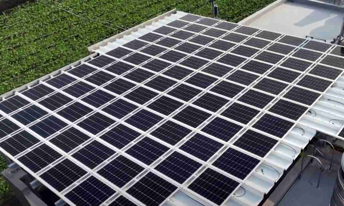 CG电子SunSteel光电浪板升级双玻结构，，，以提升机械负载强度及气候耐候度，，，，可广泛运用于多元场域