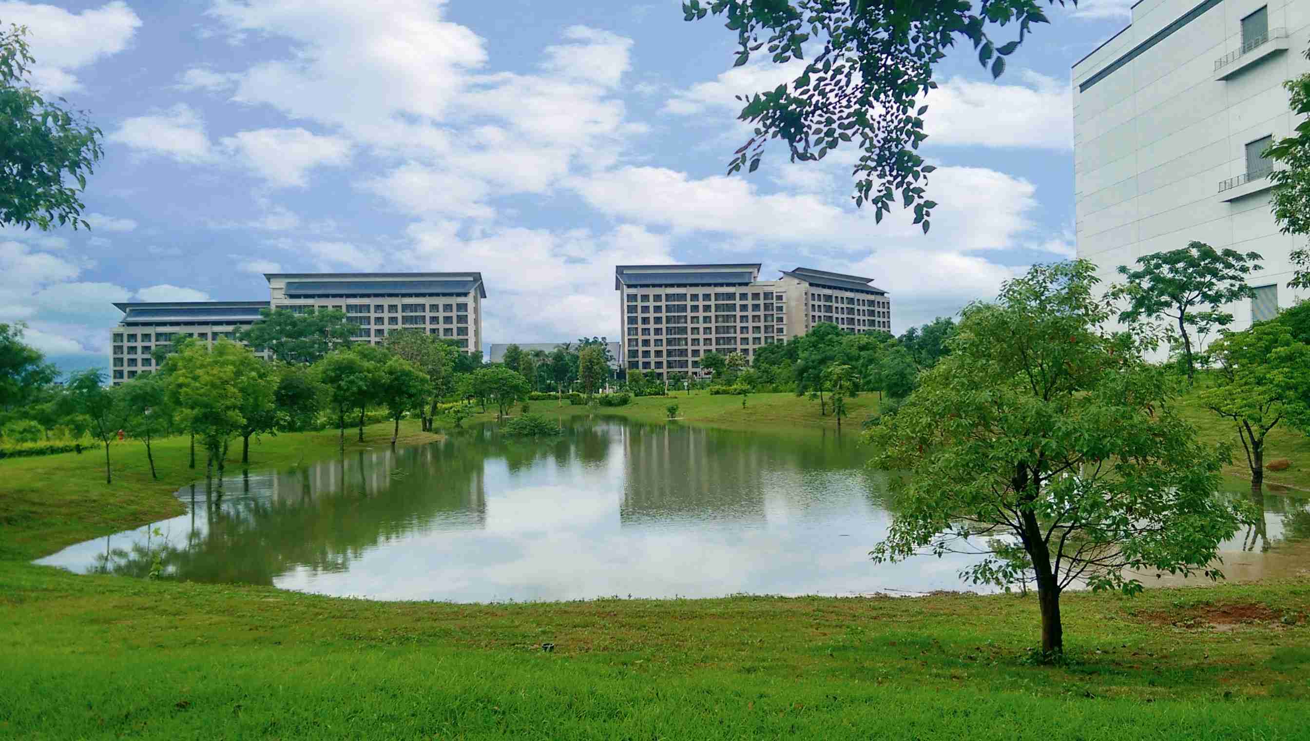 CG电子响应国际倡议生物多样性趋势，，首次发布TNFD自然相关财务揭露报告书，，，，擘划及开展CG电子生物多样性政策之承诺，，，逐步迈向与自然和谐共生